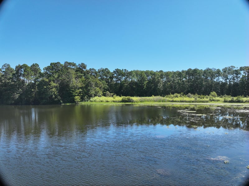 Pavilion_20ft_E_photo at Live Oak Trail, Jacksonville, FL 32225