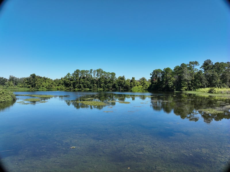 Promenade-Rep_17ft_N_photo at Live Oak Trail, Jacksonville, FL 32225