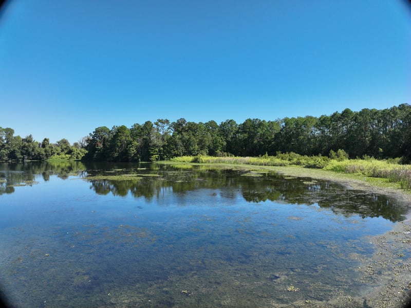 Promenade-Res6_17ft_NE_photo at Live Oak Trail, Jacksonville, FL 32225
