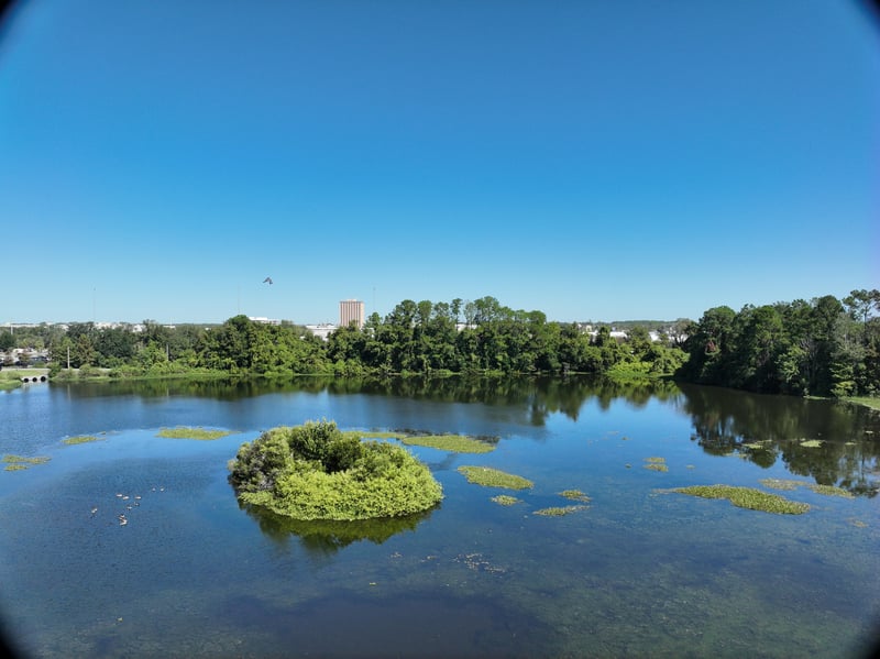 Promenade-Res6_52ft_N_photo at Live Oak Trail, Jacksonville, FL 32225