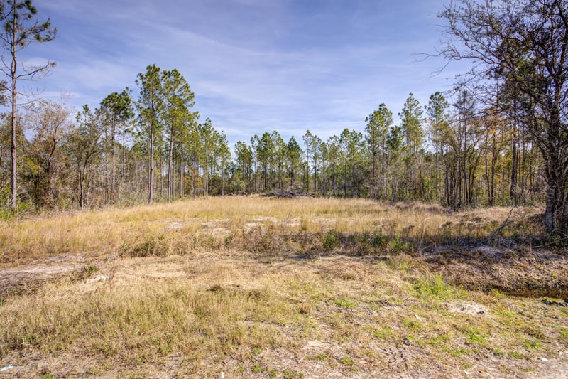 Photo 2 of 10260 Erickson Ave, Hastings, FL 32145, photographed by Megapixeler