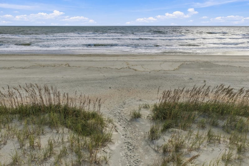 Aerial view of beach dune grass in Ponte Vedra Beach, FL