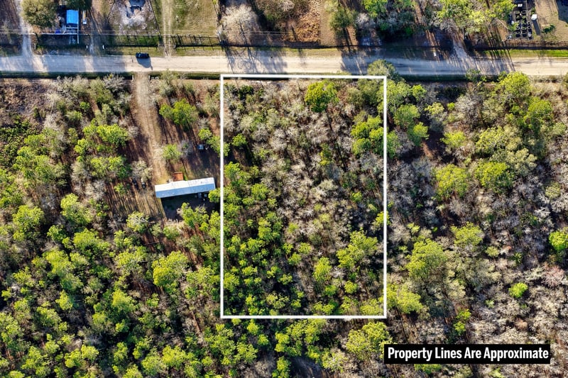 Bird's Eye View Closer at 10250 Zigler Ave, Hastings, FL 32145
