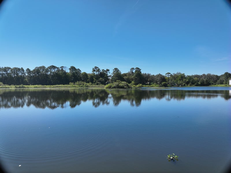 Founders-Rep_7ft_S_photo at Live Oak Trail, Jacksonville, FL 32225