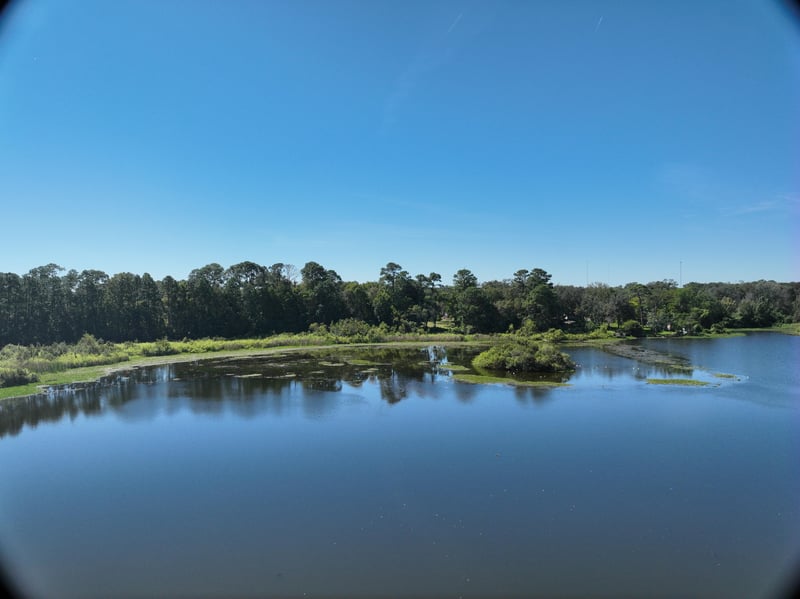 Founders-Res7_55ft_S_photo at Live Oak Trail, Jacksonville, FL 32225