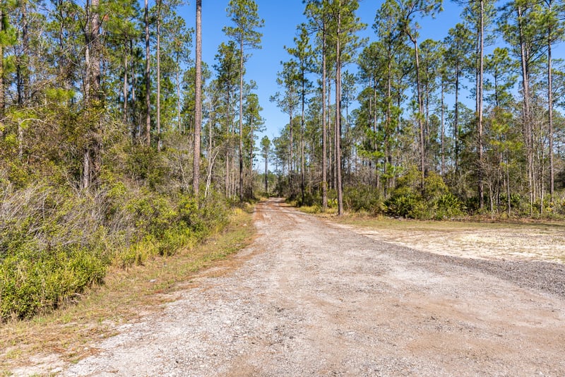 Driveway at 34664 Mitigation Trail, Callahan, FL 32011
