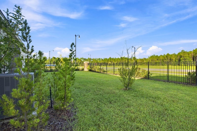 Backyard lawn with young trees and metal fence at 27 Holly Rdg Wy, St. Augustine, FL