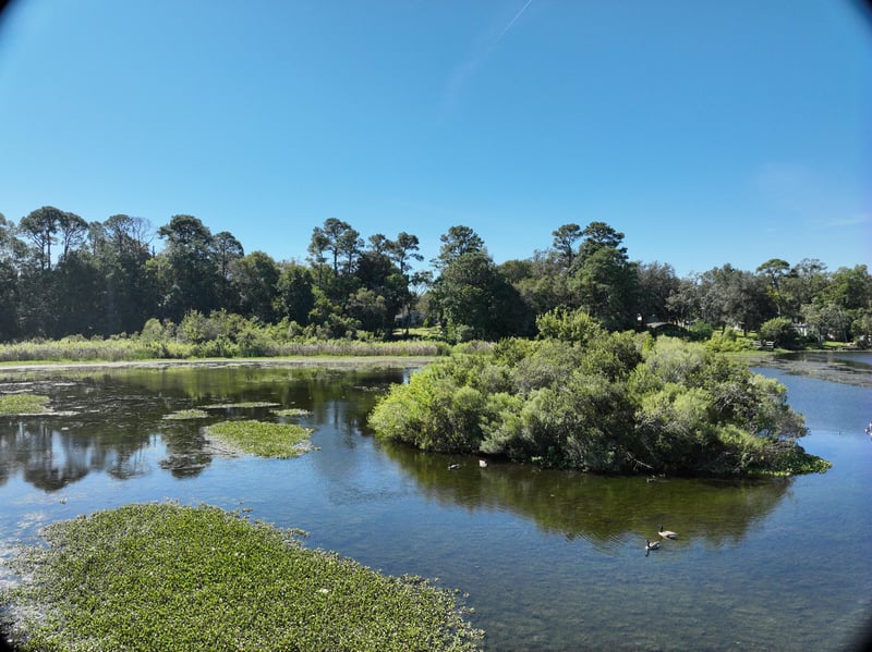 Pavilion_20ft_S_photo at Live Oak Trail, Jacksonville, FL 32225