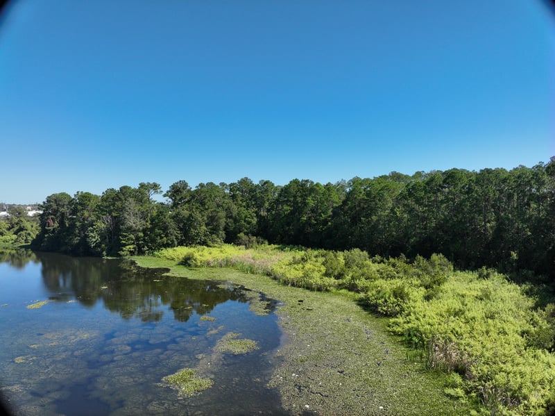 Promenade-Rep_52ft_NE_photo at Live Oak Trail, Jacksonville, FL 32225