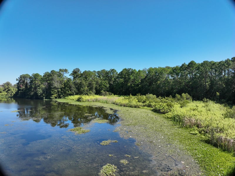 Promenade-Rep_30ft_NE_photo at Live Oak Trail, Jacksonville, FL 32225