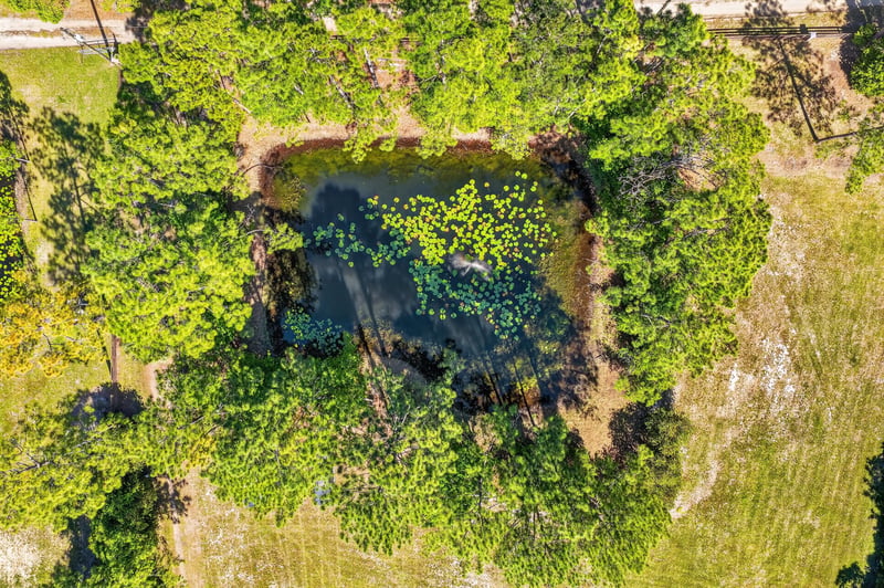 Photo 79 of 163 Sunny Ln, Pomona Park, FL 32181, photographed by Megapixeler