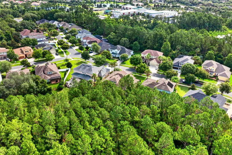 Aerial view of subdivision streets and lawns in Ponte Vedra Beach, FL