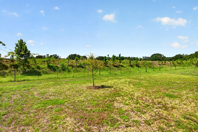 Open field view from the backyard at 9942 Lovage Ln, Jacksonville, FL 32219