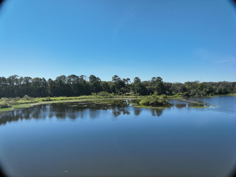 Founders-Res7_43ft_S_photo at Live Oak Trail, Jacksonville, FL 32225