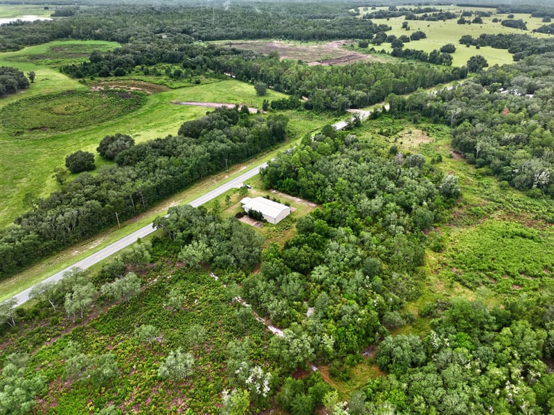 Drone aerial of the property and tree-lined road at 1038 County Rd 315, Melrose
