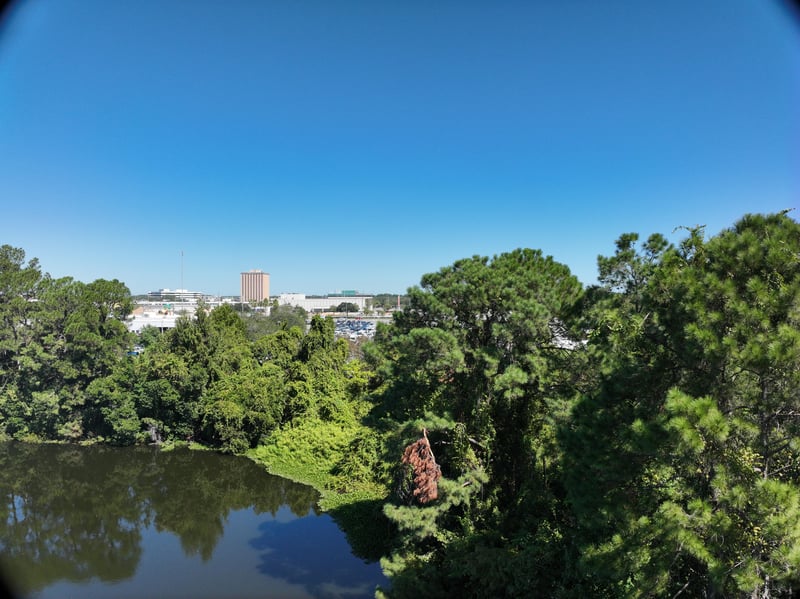 FromWater-LiveWork_60ft_N_photo at Live Oak Trail, Jacksonville, FL 32225