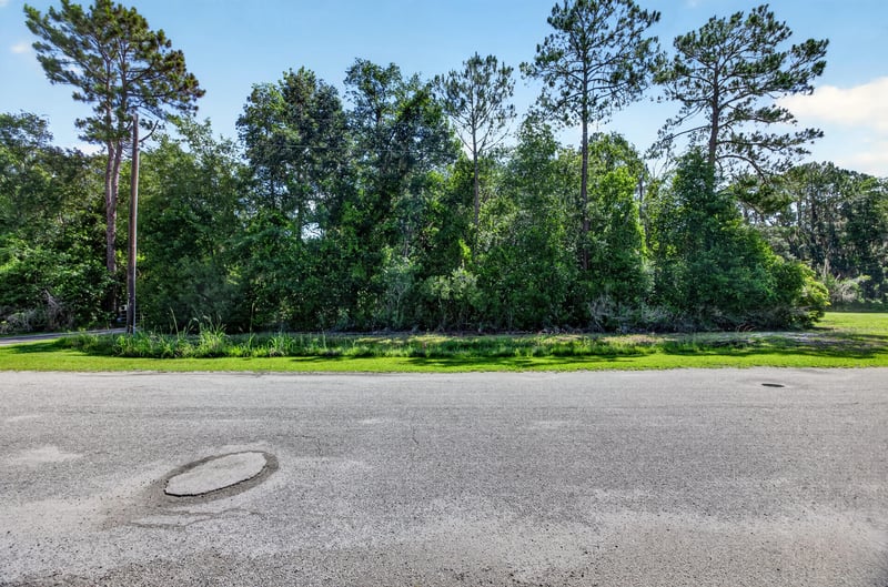 Low aerial view of the road and tree line at 110 River Shores Rd, Palatka, FL 32043