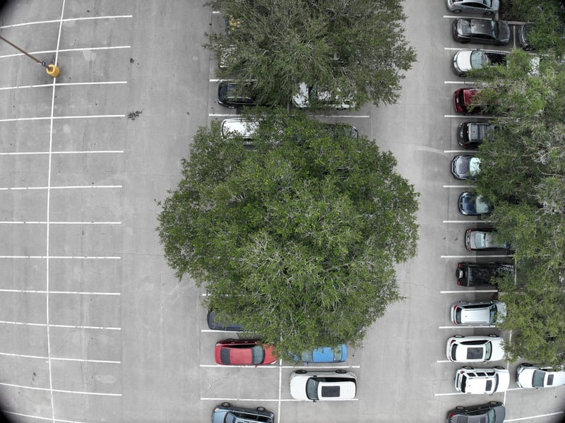 Aerial view of parking rows and shade tree at 9406 Atlantic Blvd, Jacksonville, FL 32225