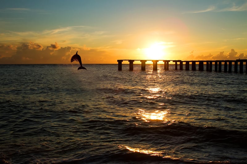 AI Edited (Comercial) at 2761 Harbor Ct, St. Augustine, FL 32084