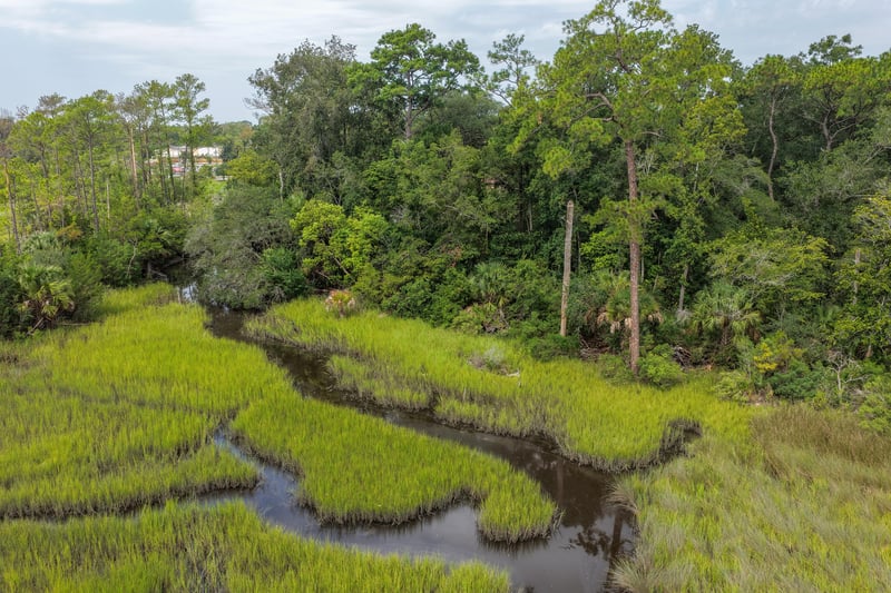 Aerial view of marsh grass and winding creek at 1818 Elm St, Jacksonville, FL 32208
