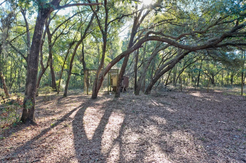 Photo 40 of 144 Beecher Springs Rd, Pomona Park, FL 32181, photographed by Megapixeler