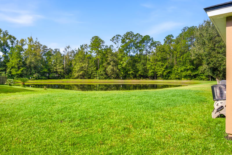 Backyard view with pond and tree line at 7392 Timber Falls Ct
