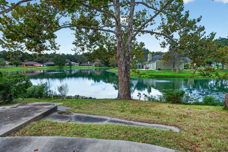 Pond and tree view near the backyard at 8047 Mactavish Way E, Jacksonville, FL 32244