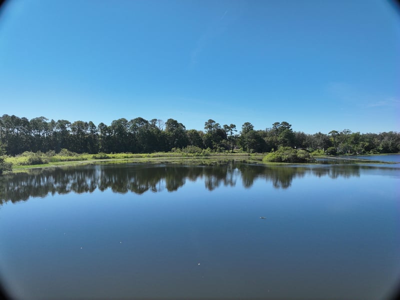 LiveWork-Est1_20ft_S_photo at Live Oak Trail, Jacksonville, FL 32225