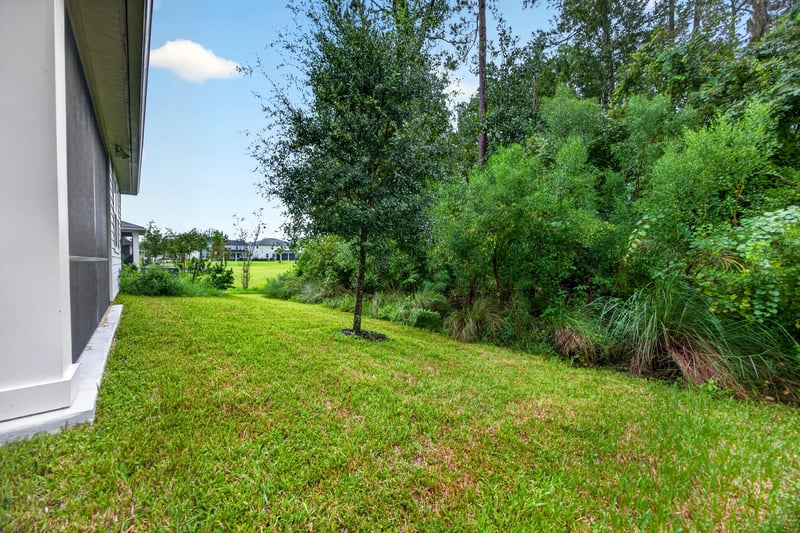 Backyard view with trees at 93 Lochloosa Ct, St. Johns, FL 32259
