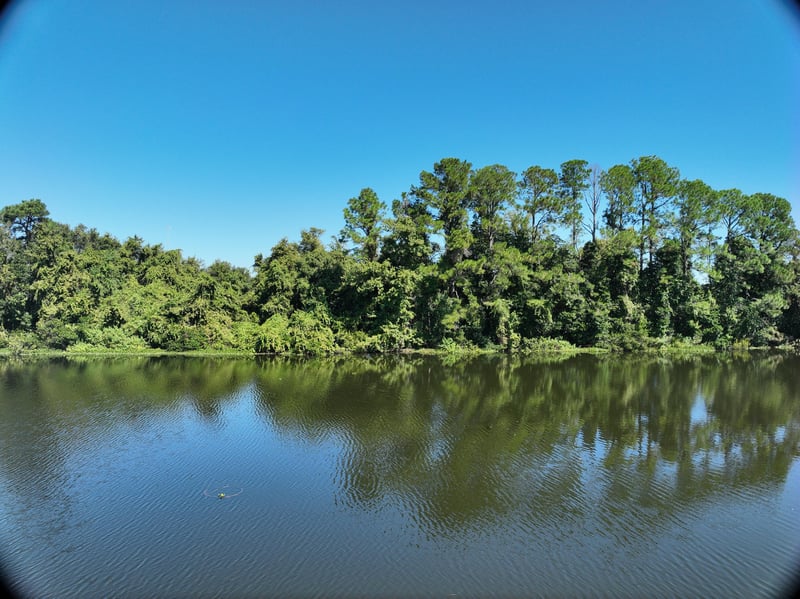 FromWater-Founders_22ft_N_photo at Live Oak Trail, Jacksonville, FL 32225