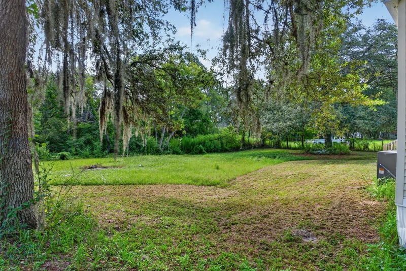 Wooded side yard with Spanish moss at 3215 Robin Ln, Middleburg, FL
