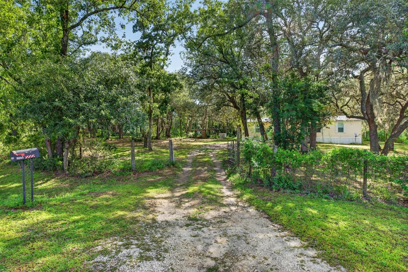 Gravel driveway leading through wooded lot at 3215 Robin Ln, Middleburg, FL