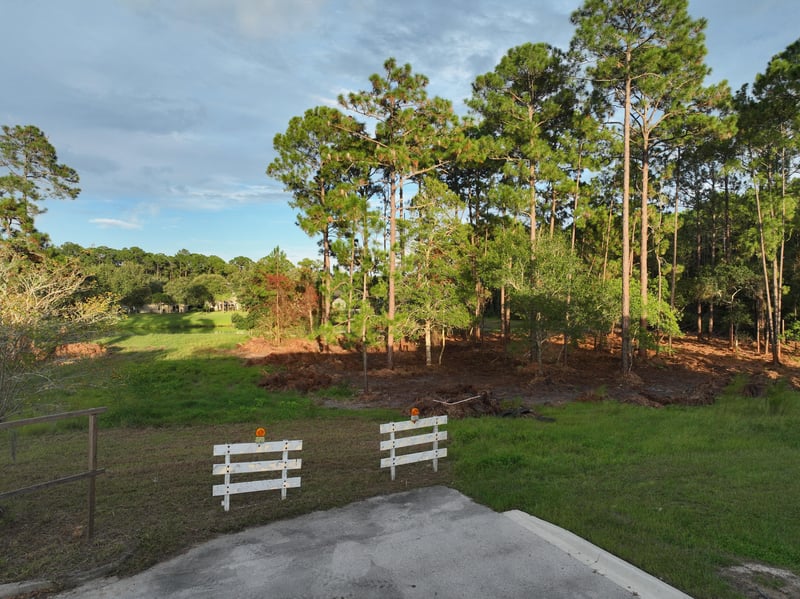 Ground-level view of the parcel tree line and boundary fence at 4900 US-1, St. Augustine, FL 32086