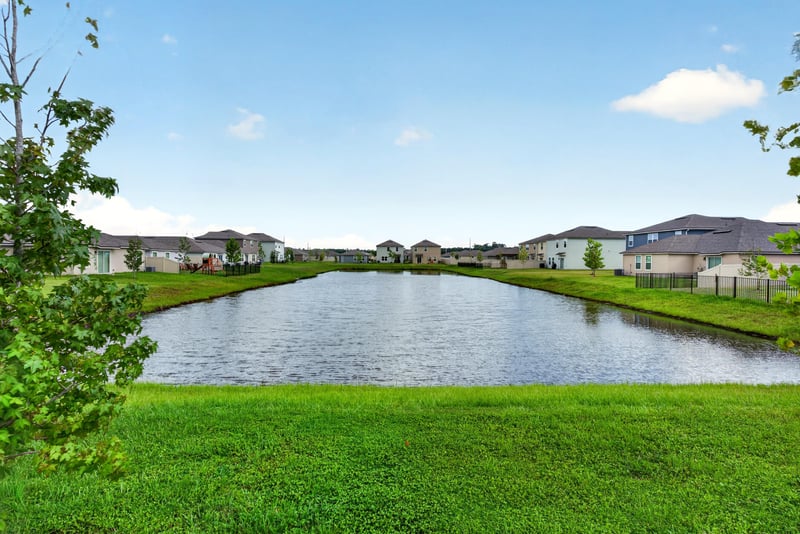 Pond and green space view in Jacksonville, FL