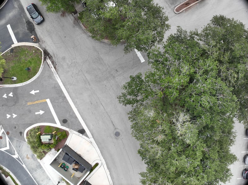 Aerial view of oak tree canopy over drive at 9406 Atlantic Blvd, Jacksonville, FL 32225