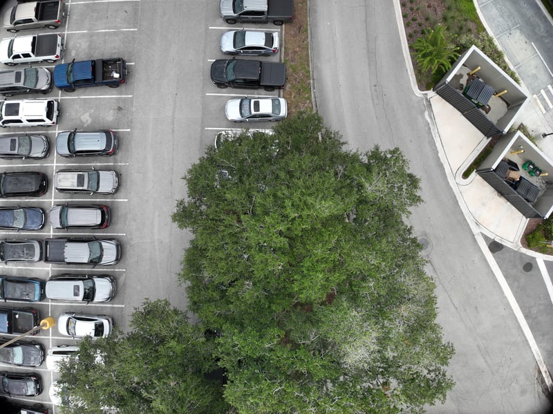 Aerial view of parking lot and tree canopy at 9406 Atlantic Blvd, Jacksonville, FL 32225