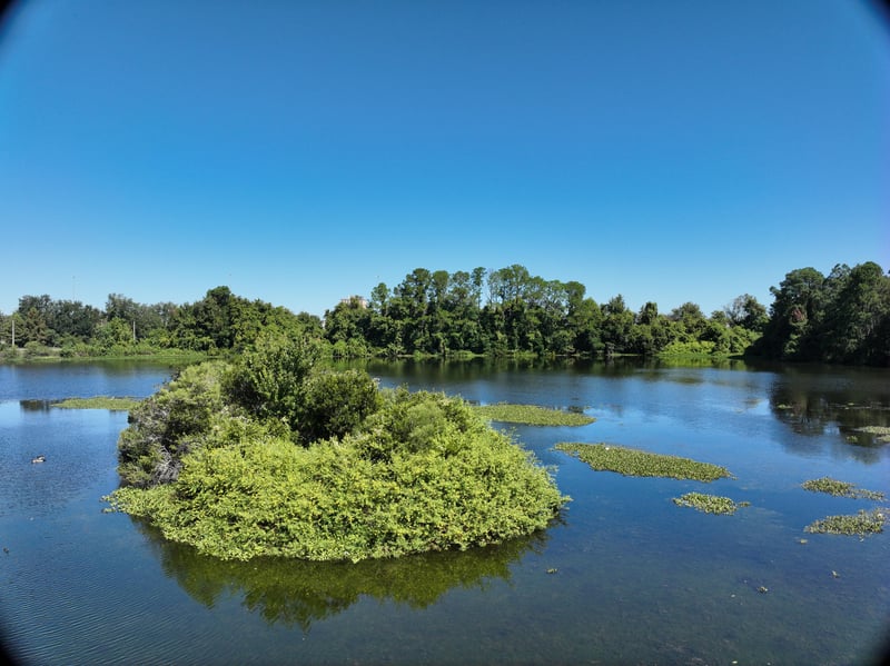 FromWater-Pavilion_22ft_N_photo at Live Oak Trail, Jacksonville, FL 32225
