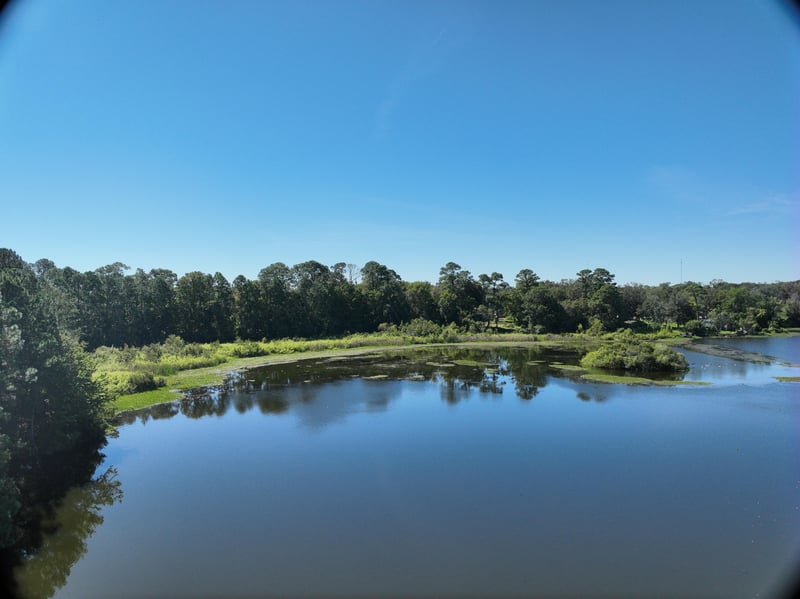 LiveWork-Est2_55ft_S_photo at Live Oak Trail, Jacksonville, FL 32225