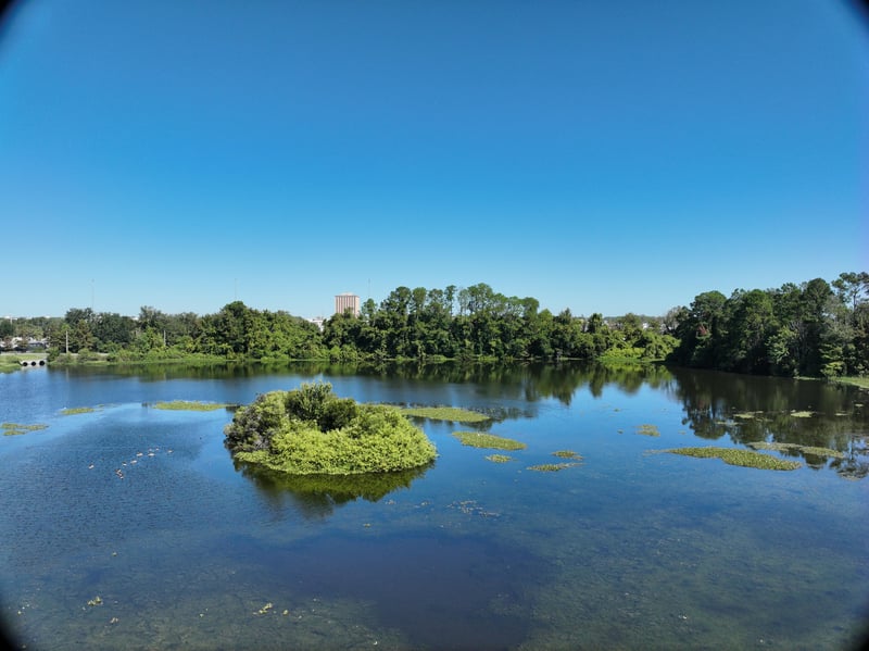 Promenade-Res6_41ft_N_photo at Live Oak Trail, Jacksonville, FL 32225