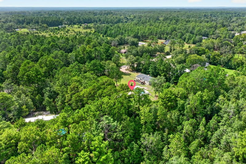 Aerial view of the wooded neighborhood in Middleburg, FL
