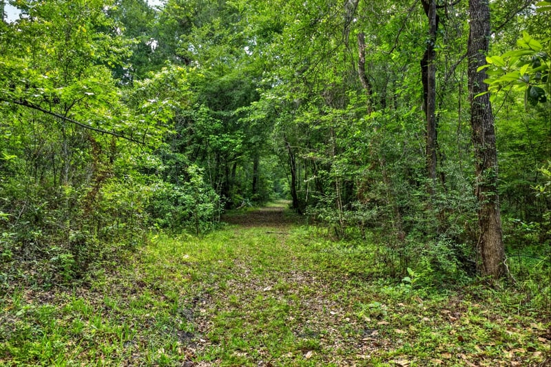 Photo 88 of 2411 Halperns Way, Middleburg, FL 32068, photographed by Megapixeler