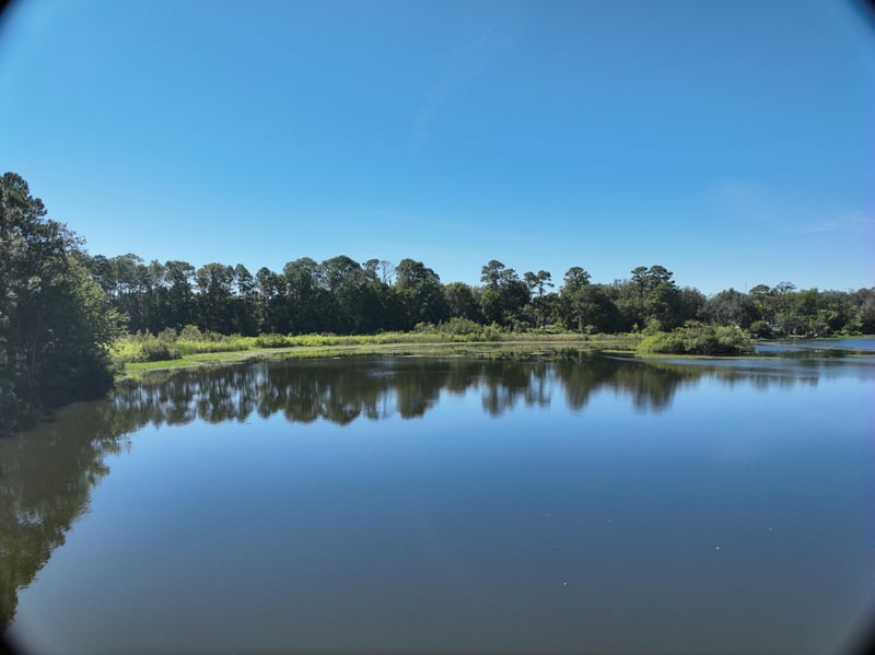 LiveWork-Est2_20ft_S_photo at Live Oak Trail, Jacksonville, FL 32225