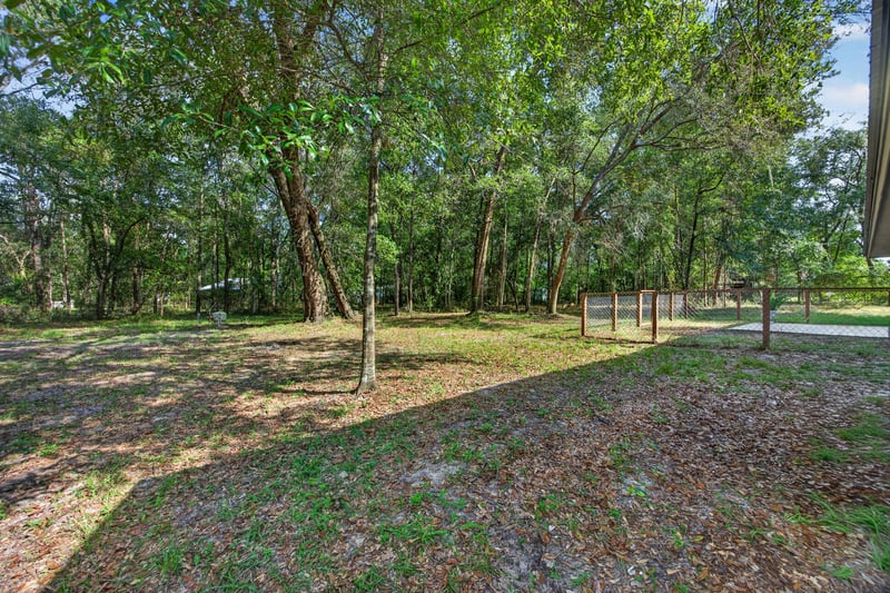 Wooded backyard with open ground and fence line at 2829 Blackberry Ave