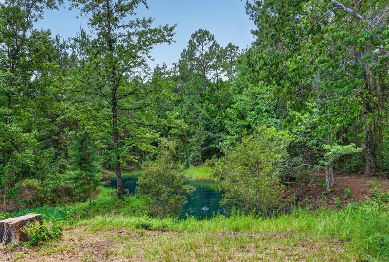 Wooded land with partial view of a pond at 4890 McAllister Rd, Middleburg, FL 32068