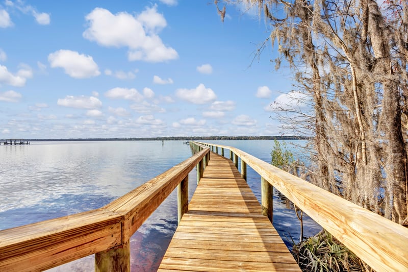 Photo 71 of 1806 Royal Fern Ln, Orange Park, FL 32003, photographed by Megapixeler