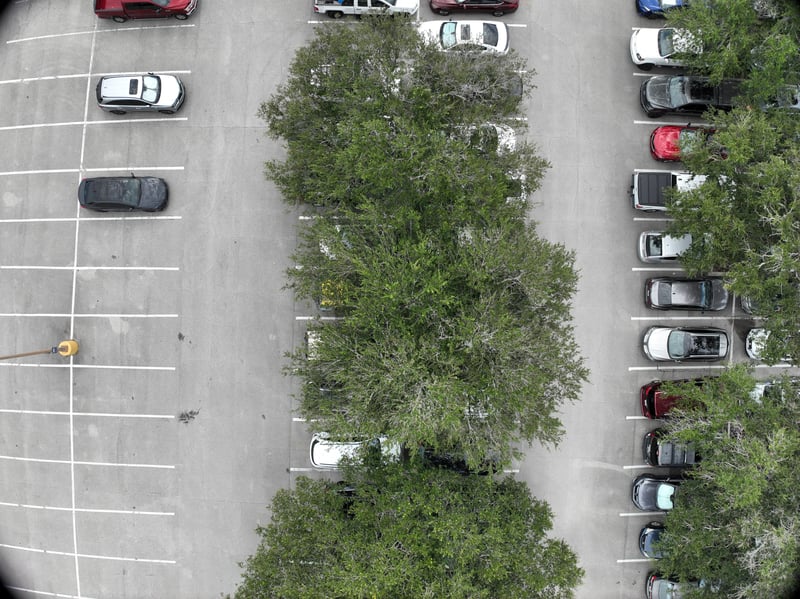 Aerial view of parked cars and tree canopy at 9406 Atlantic Blvd, Jacksonville, FL 32225