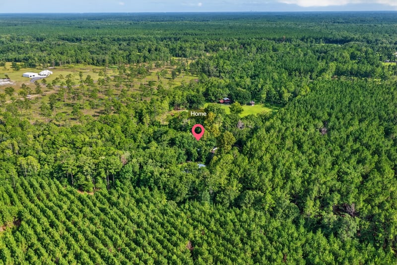 Aerial view of wooded land surrounding the property at 55520 Jewel-Thomas Rd, Callahan, FL 32011