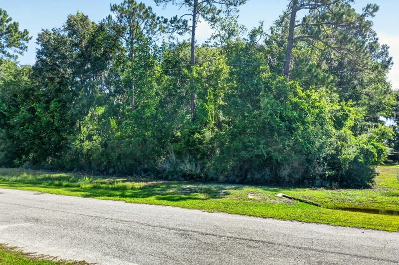 Low aerial view of the paved road and trees at 110 River Shores Rd, Palatka, FL 32043