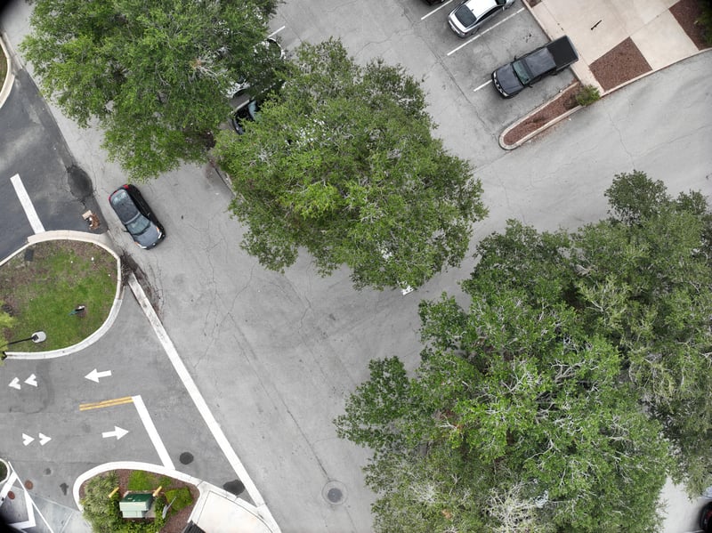 Aerial view of oak trees and landscaped median at 9406 Atlantic Blvd, Jacksonville, FL 32225