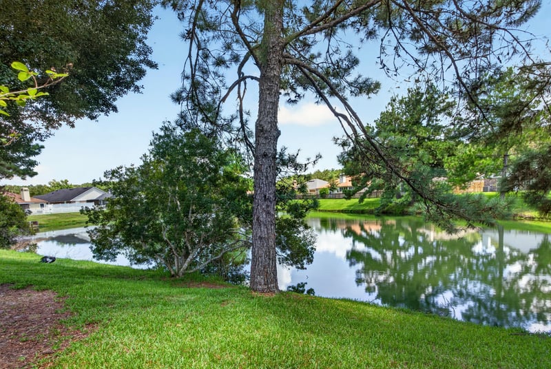 Yard view with pond and trees at 1589 Backwater Drive, Middleburg, FL 32068